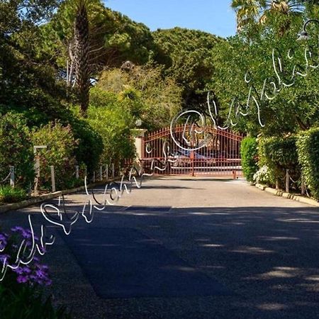 Magnifique Parc De La Presqu'Ile Avec Piscine Et Plage Face A Porquerolles ! Hyères Exterior foto