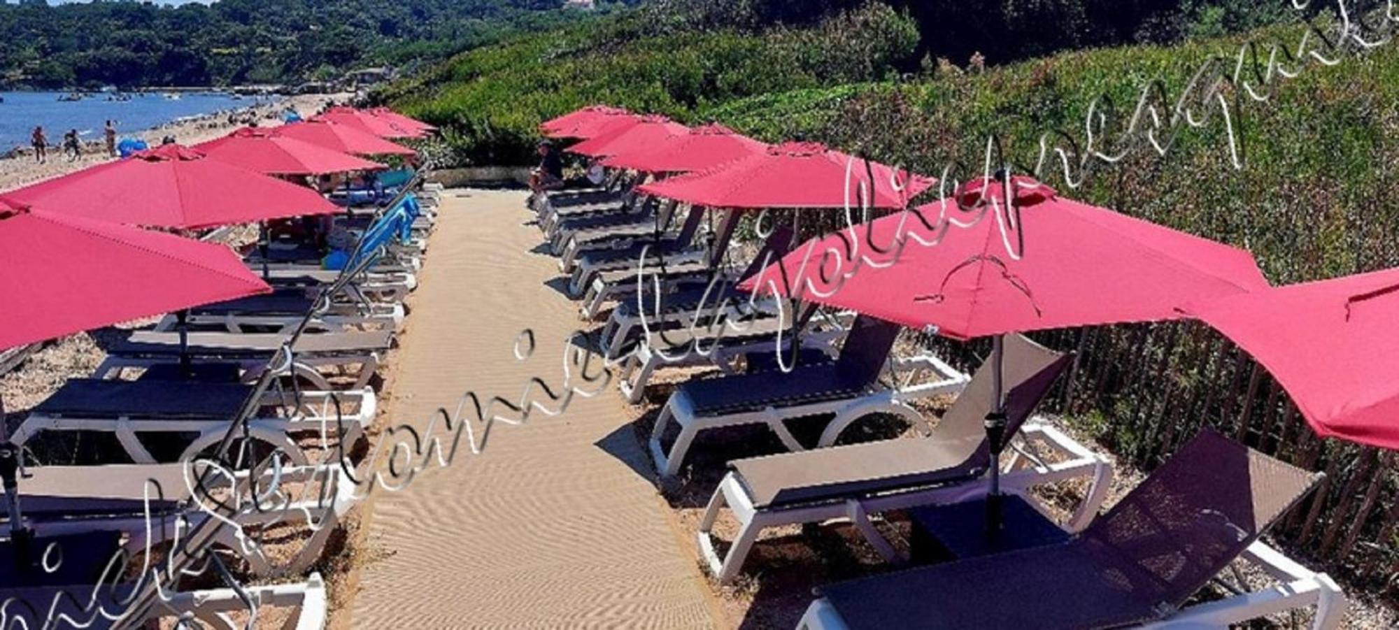 Magnifique Parc De La Presqu'Ile Avec Piscine Et Plage Face A Porquerolles ! Hyères Exterior foto