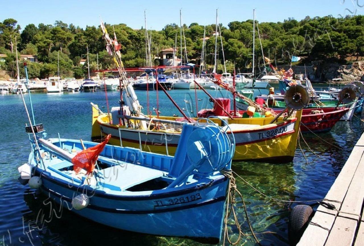 Magnifique Parc De La Presqu'Ile Avec Piscine Et Plage Face A Porquerolles ! Hyères Exterior foto