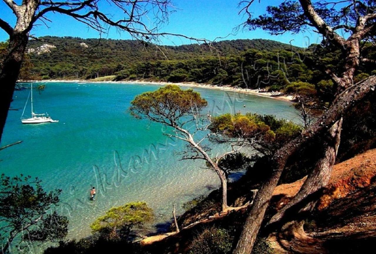 Magnifique Parc De La Presqu'Ile Avec Piscine Et Plage Face A Porquerolles ! Hyères Exterior foto